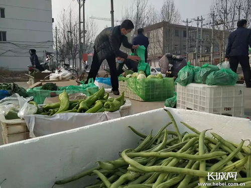河北內丘 微信群里搭平臺，農超對接保供銷